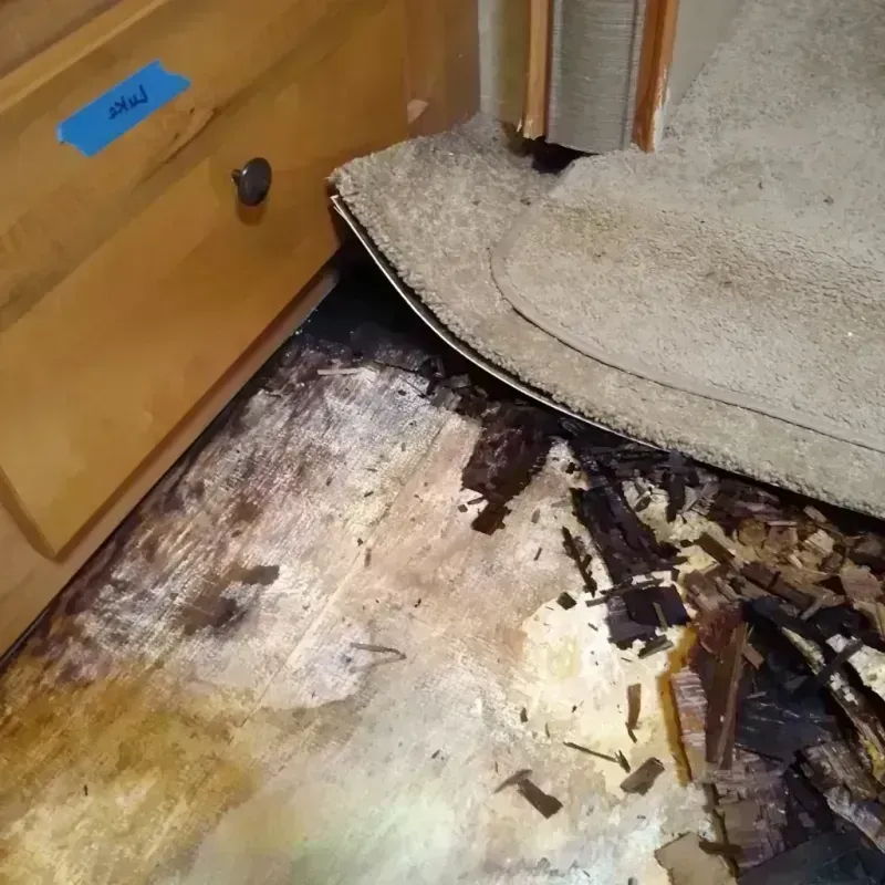 Wood Floor Water Damage in Meredosia, IL